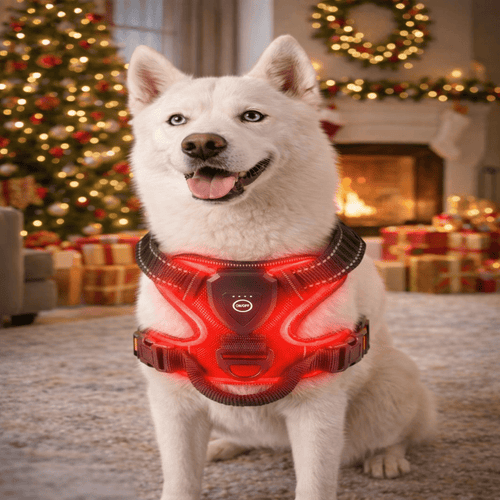 adjustable-no-pull-reflective-led-oxford-dog-harness-for-night-safety-img1.png