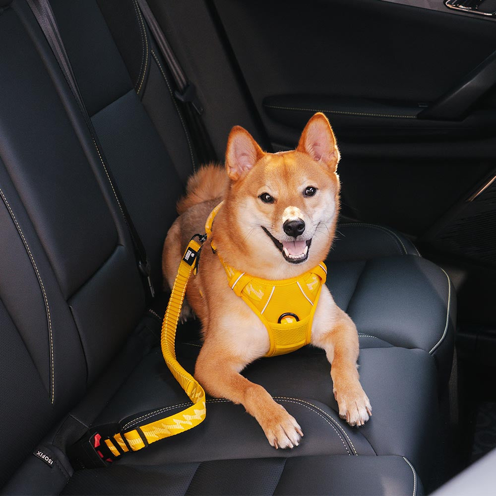 adjustable-reflective-dog-car-seat-belt-for-travel-safety-img1.jpg