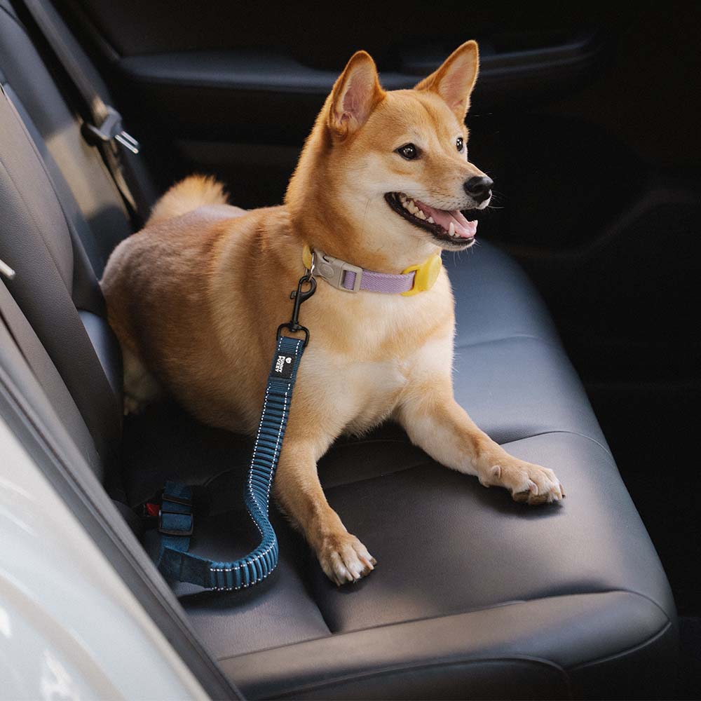 adjustable-reflective-dog-car-seat-belt-for-travel-safety-img11.jpg