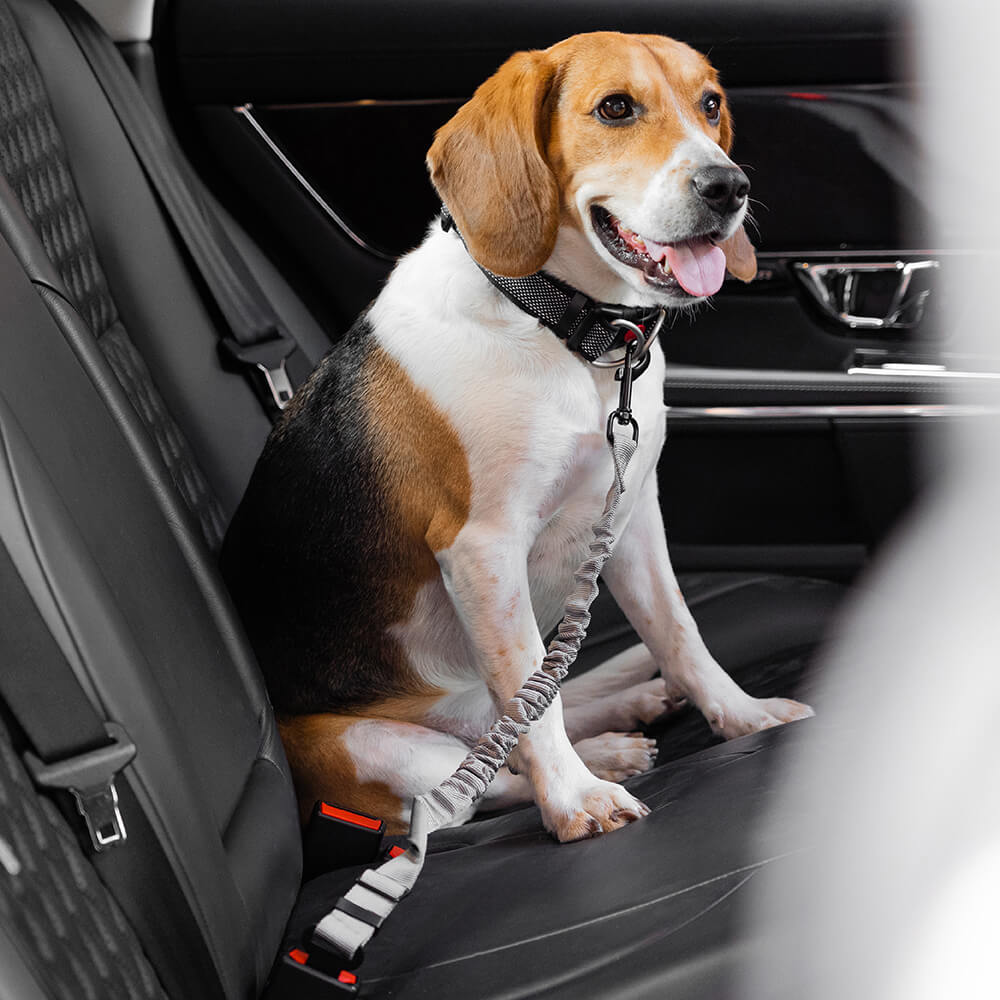 adjustable-reflective-dog-car-seat-belt-for-travel-safety-img20.jpg