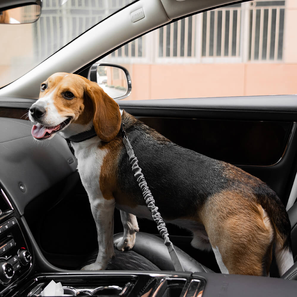 adjustable-reflective-dog-car-seat-belt-for-travel-safety-img21.jpg