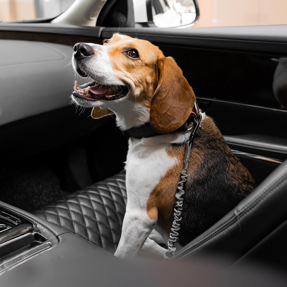 adjustable-reflective-dog-car-seat-belt-for-travel-safety-img22.jpg