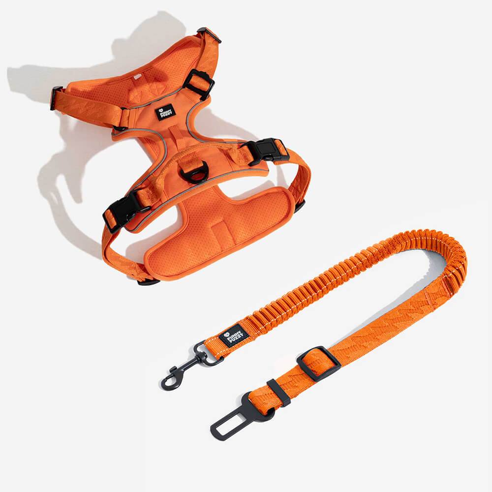 adjustable-reflective-dog-car-seat-belt-for-travel-safety-img24.jpg