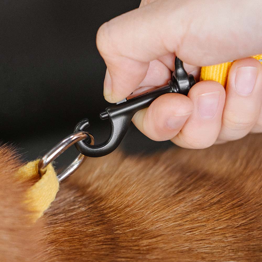 adjustable-reflective-dog-car-seat-belt-for-travel-safety-img4.jpg