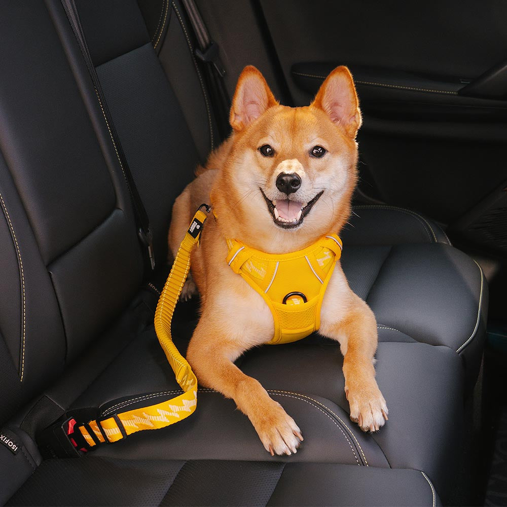 adjustable-reflective-dog-car-seat-belt-for-travel-safety-img5.jpg