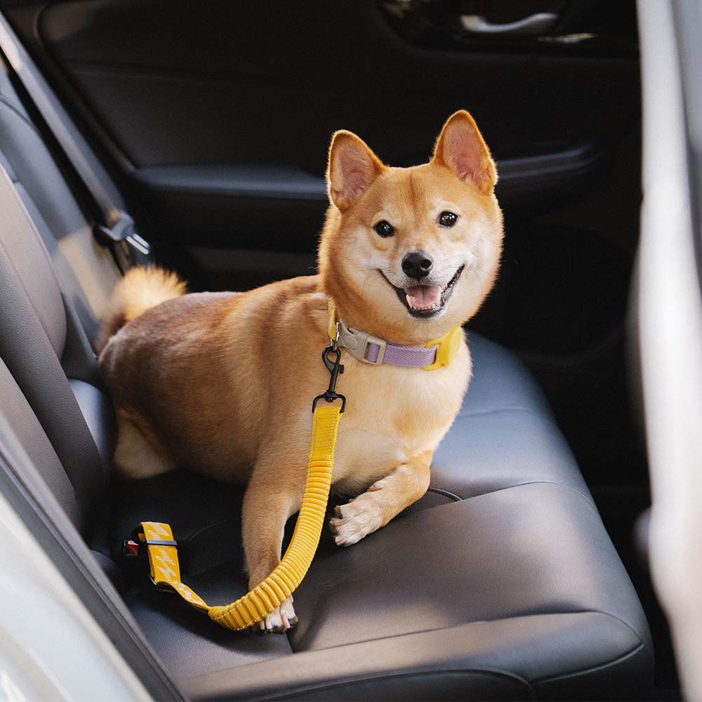 adjustable-reflective-dog-car-seat-belt-for-travel-safety-img8.jpg