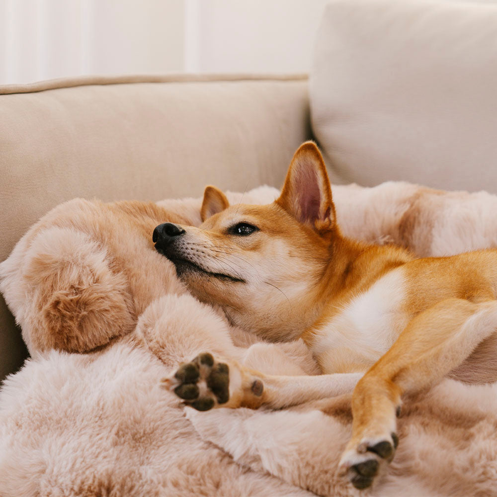 calming-non-slip-washable-plush-dog-cat-couch-cover-img5.jpg