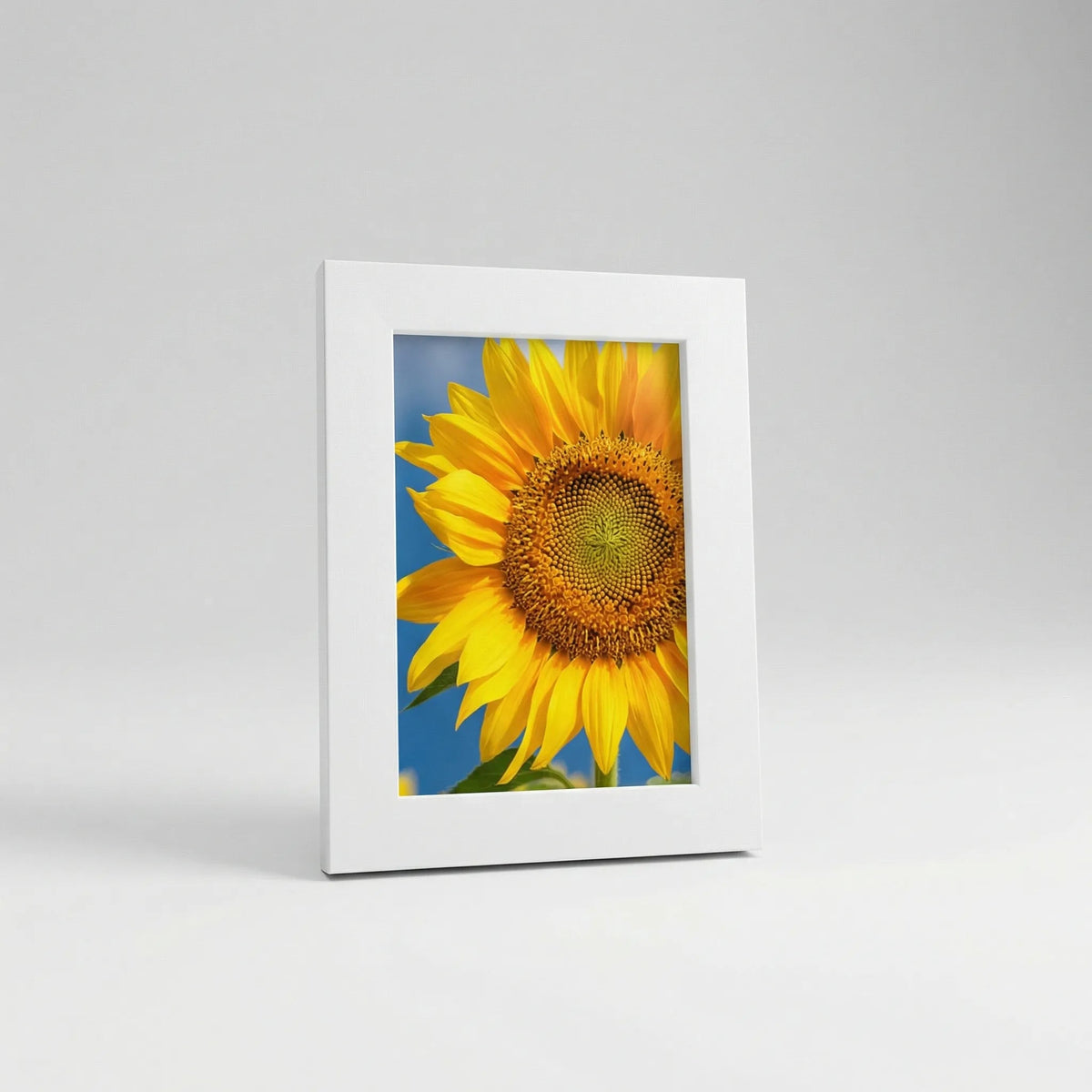 interchangeable-gallery-wall-photo-frame-set-img5.webp