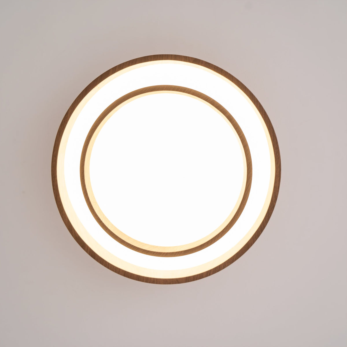 modern-flush-mount-ceiling-light-with-minimalist-design-img11.jpg