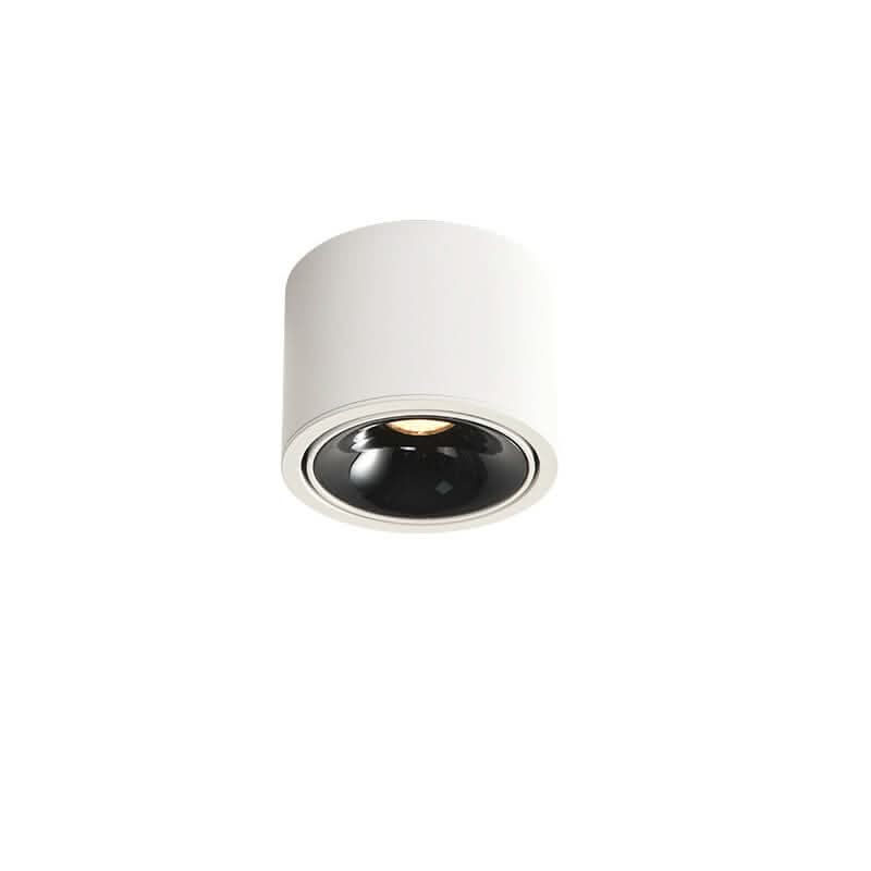 modern-led-flush-mount-with-adjustable-spotlight-img10.jpg