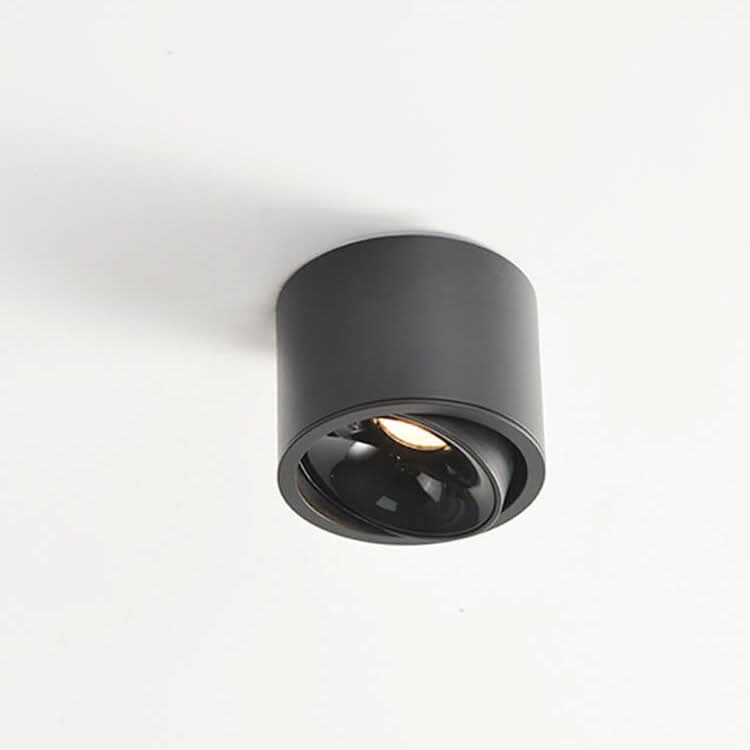modern-led-flush-mount-with-adjustable-spotlight-img19.jpg