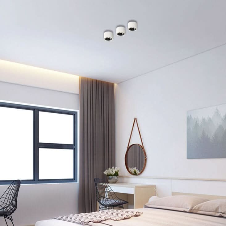 modern-led-flush-mount-with-adjustable-spotlight-img2.jpg