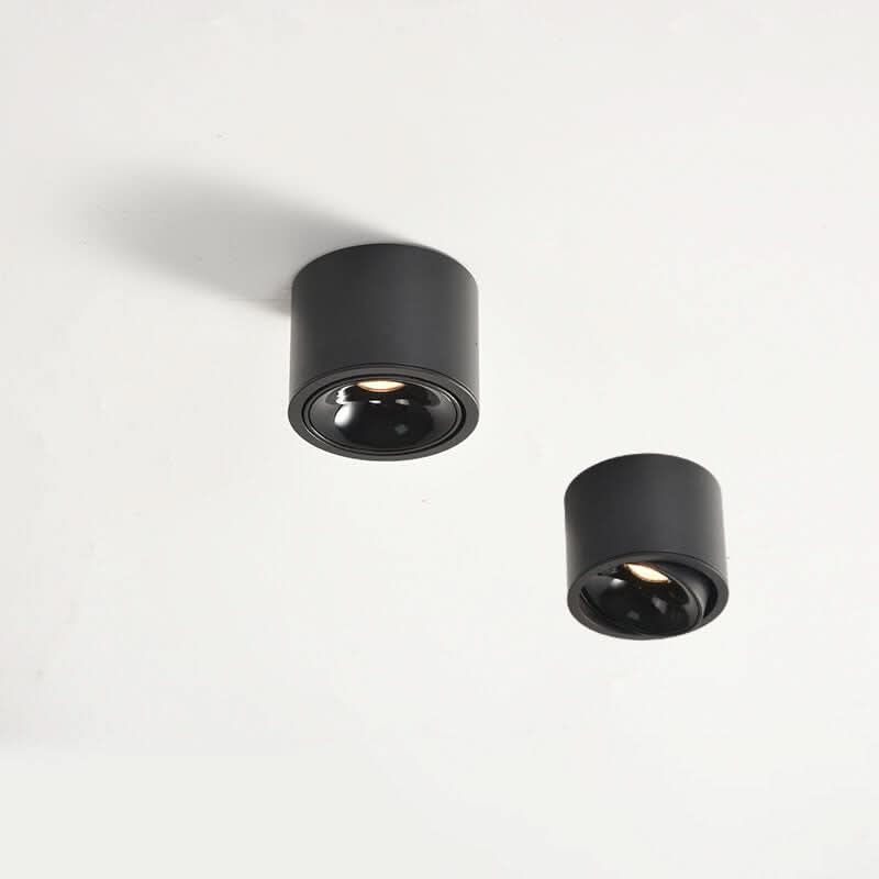 modern-led-flush-mount-with-adjustable-spotlight-img3.jpg