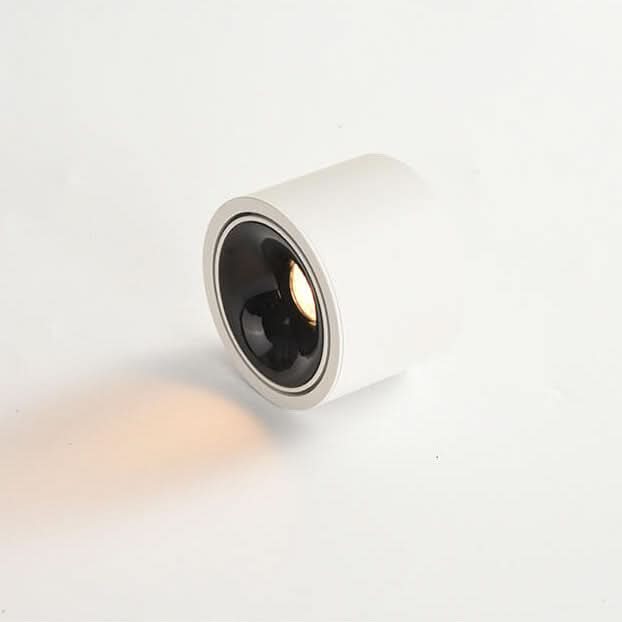 modern-led-flush-mount-with-adjustable-spotlight-img8.jpg