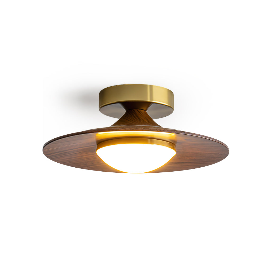 modern-minimalist-ceiling-light-with-frosted-glass-shade-img18.jpg
