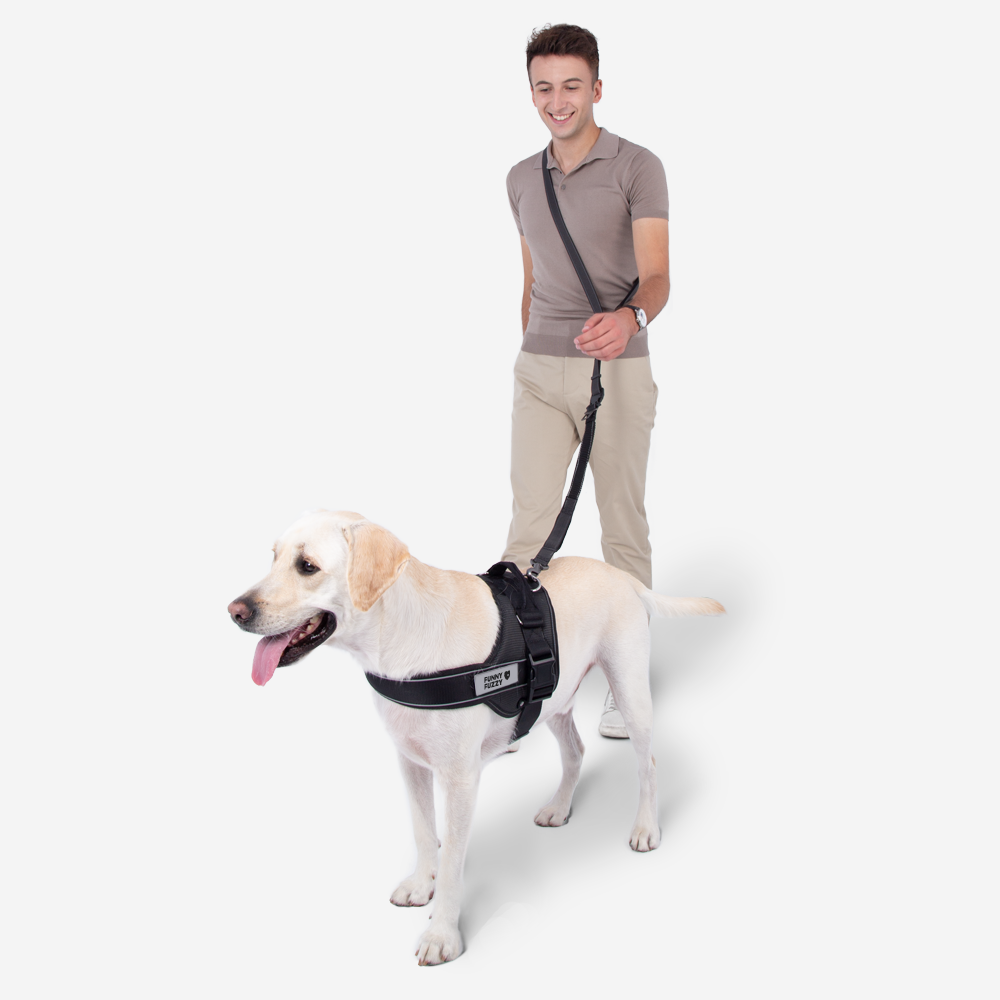reflective-adjustable-hands-free-nylon-dog-leash-with-safety-seatbelt-img10.png
