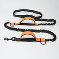 reflective-adjustable-hands-free-nylon-dog-leash-with-safety-seatbelt-img2.jpg