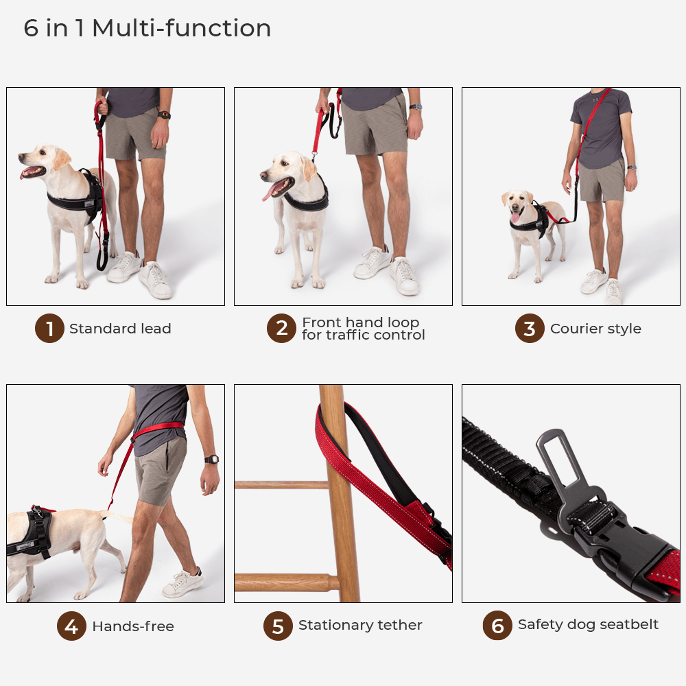 reflective-adjustable-hands-free-nylon-dog-leash-with-safety-seatbelt-img5.png