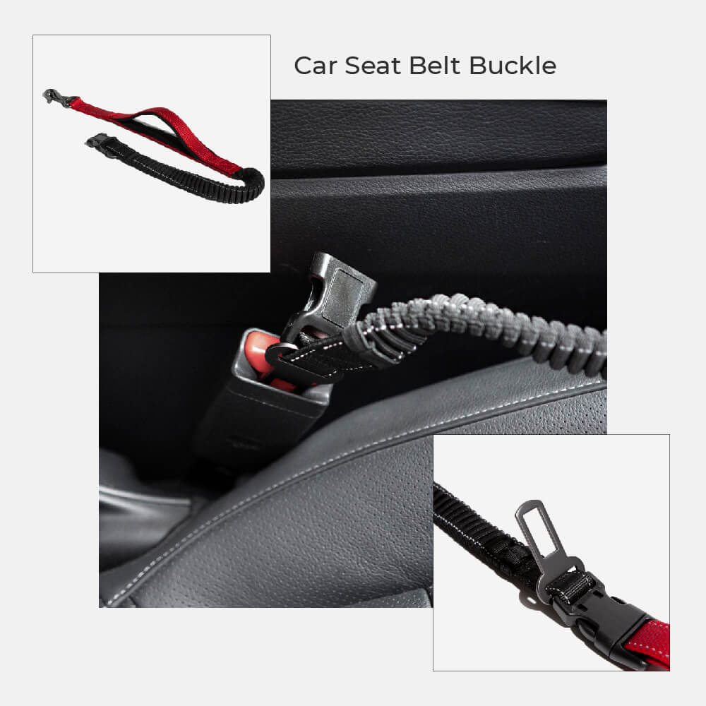 reflective-adjustable-hands-free-nylon-dog-leash-with-safety-seatbelt-img8.jpg