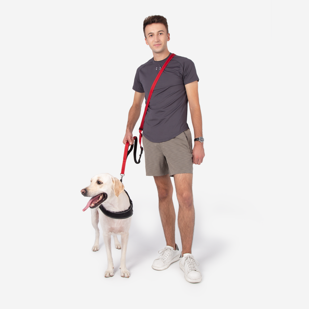 reflective-adjustable-hands-free-nylon-dog-leash-with-safety-seatbelt-img9.png