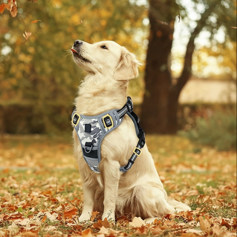 reflective-breathable-mesh-adjustable-dog-harness-for-all-breeds-img2.jpg