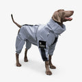 reflective-waterproof-washable-dog-rain-jacket-for-all-weather-img1.jpg