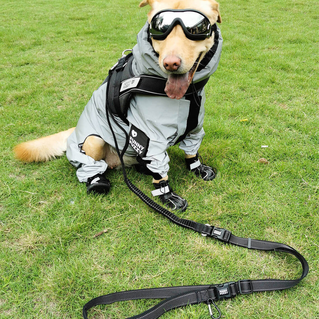 reflective-waterproof-washable-dog-rain-jacket-for-all-weather-img13.jpg