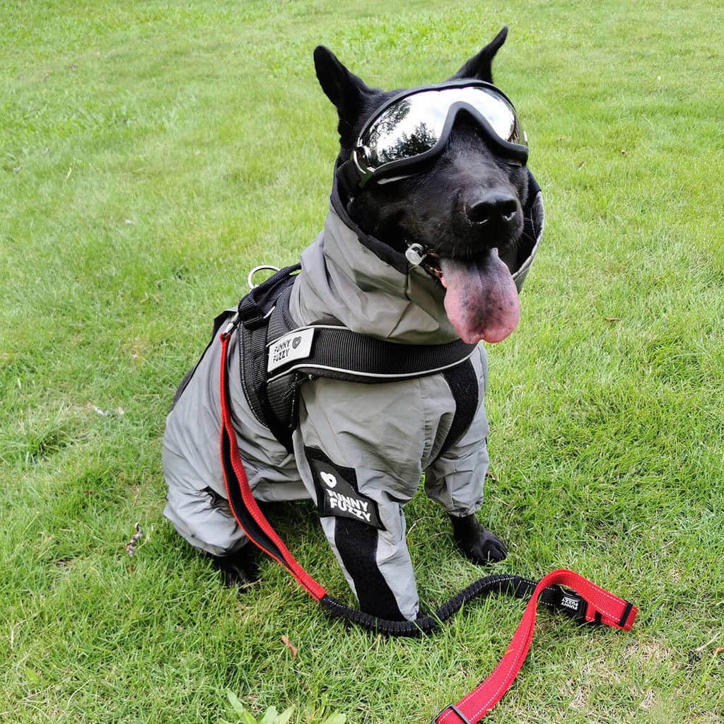 reflective-waterproof-washable-dog-rain-jacket-for-all-weather-img14.jpg