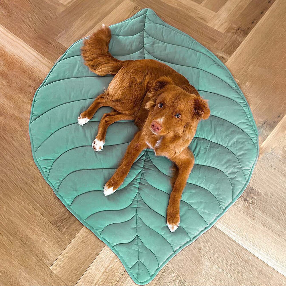 washable-cotton-leaf-shape-dog-blanket-mat-for-couch-img10.jpg