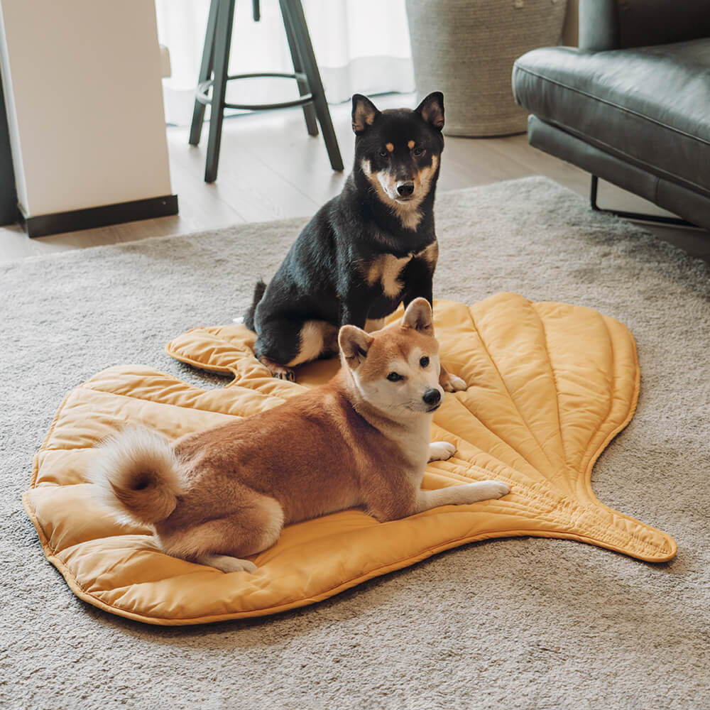 washable-cotton-leaf-shape-dog-blanket-mat-for-couch-img12.jpg