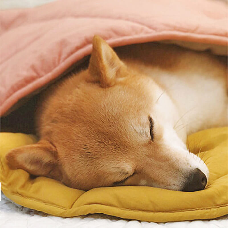washable-cotton-leaf-shape-dog-blanket-mat-for-couch-img13.jpg