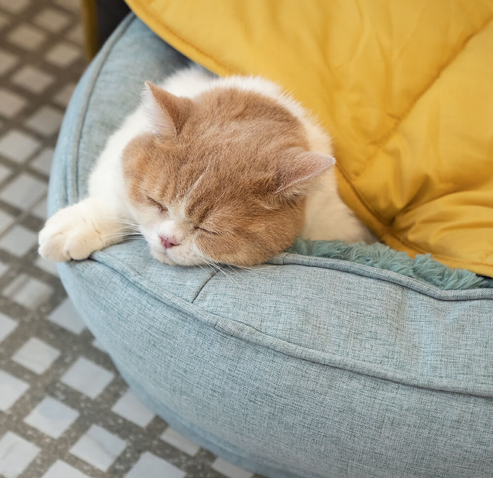 washable-cotton-leaf-shape-dog-blanket-mat-for-couch-img16.jpg