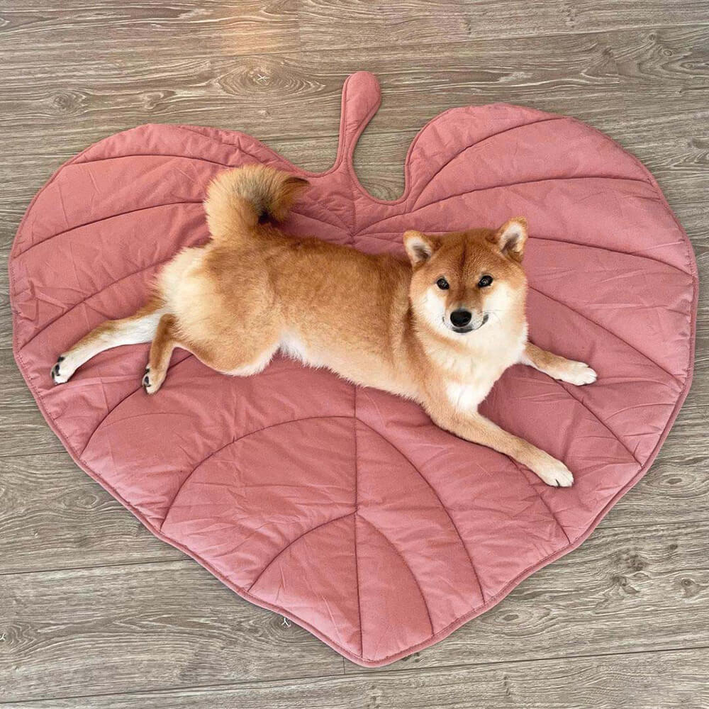 washable-cotton-leaf-shape-dog-blanket-mat-for-couch-img8.jpg